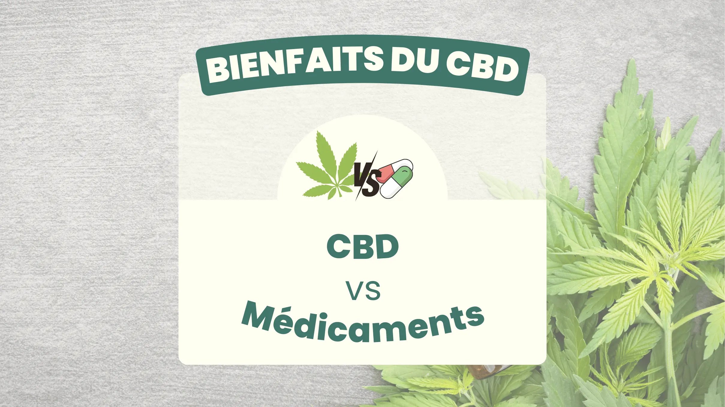 découvrez l'étude approfondie sur l'utilisation du cbd dans le traitement de l'épilepsie au maroc, ses effets et perspectives.