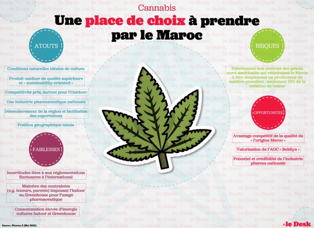 découvrez les résultats d'une étude approfondie au maroc sur l'utilisation du cbd dans le traitement de l'épilepsie, ses effets et ses potentiels bienfaits.