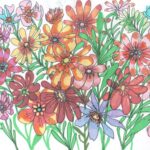 découvrez notre sélection de fleurs cbd 2025 sans effet planant, offrant détente et bien-être naturel sans intoxication.