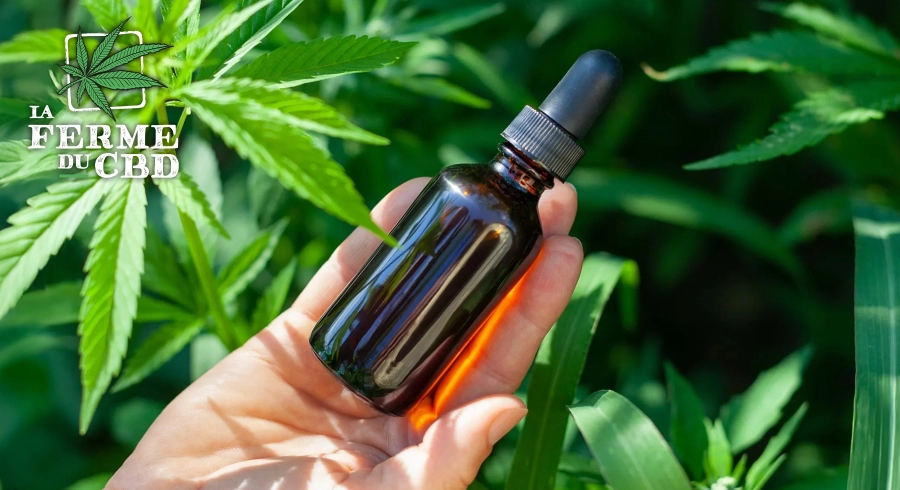 découvrez les bienfaits et les usages de l'huile de cbd, un produit naturel aux multiples vertus pour votre bien-être et votre santé.