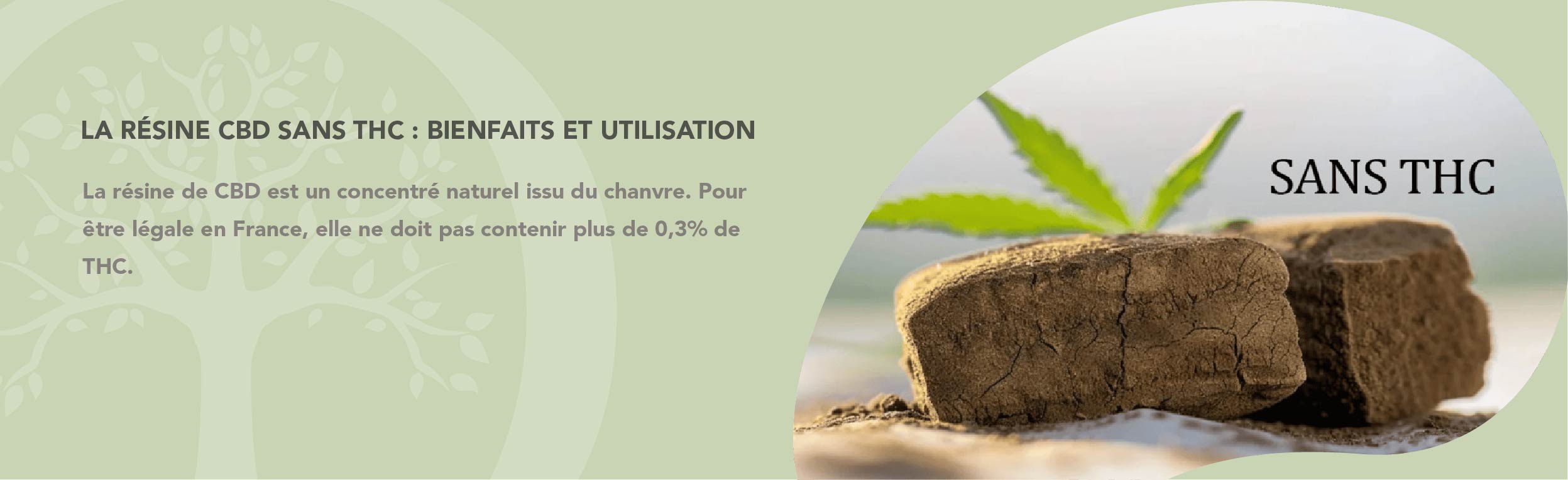 découvrez les bienfaits et les différents usages de la résine de cbd, un produit naturel aux multiples vertus pour améliorer votre bien-être au quotidien.