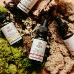 découvrez notre guide complet pour l'achat de cbd en ligne, conseils, produits de qualité et légalité pour une expérience sûre et efficace.