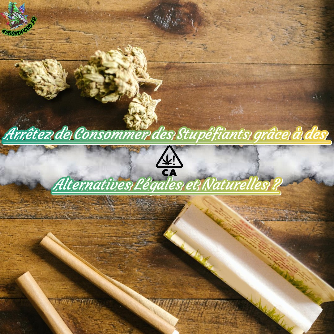 découvrez des alternatives au thc sans effets psychotropes pour profiter des bienfaits du chanvre en toute sérénité et légalité.