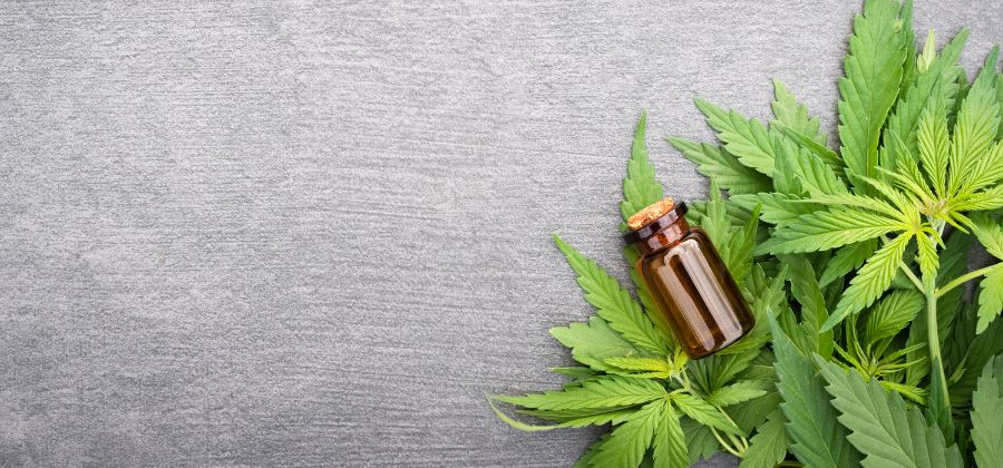 découvrez comment le cannabidiol (cbd) peut aider à soulager les douleurs grâce à ses propriétés naturelles. informez-vous sur l'utilisation du cbd pour un mieux-être au quotidien.