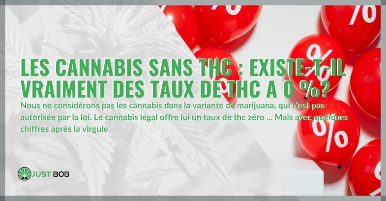 découvrez les avantages du cbd sans thc, ses bienfaits pour la santé et les aspects légaux à connaître pour une utilisation en toute sécurité.