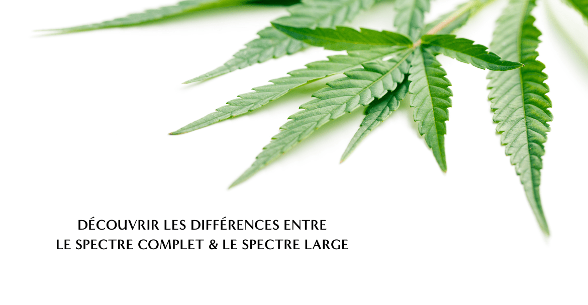 découvrez les différences entre spectre large et spectre complet en 2025 pour mieux comprendre leurs utilisations et avantages dans les produits actuels.