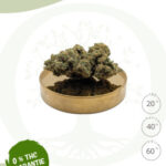 découvrez notre guide complet sur la fleur cbd 0 thc, ses bienfaits, utilisations et conseils pour un usage légal et sécurisé.