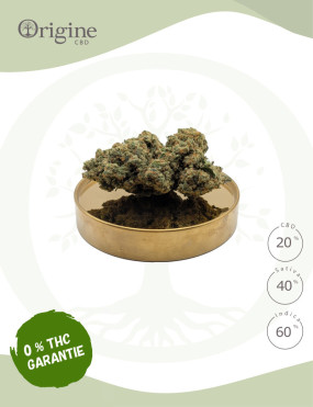 découvrez notre guide complet sur la fleur cbd 0 thc, ses bienfaits, utilisations et conseils pour un usage légal et sécurisé.