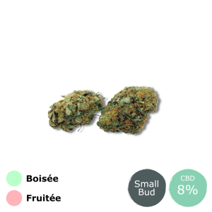 découvrez notre guide complet sur la fleur de cbd puissante : conseils, bienfaits et utilisation pour une expérience optimale.