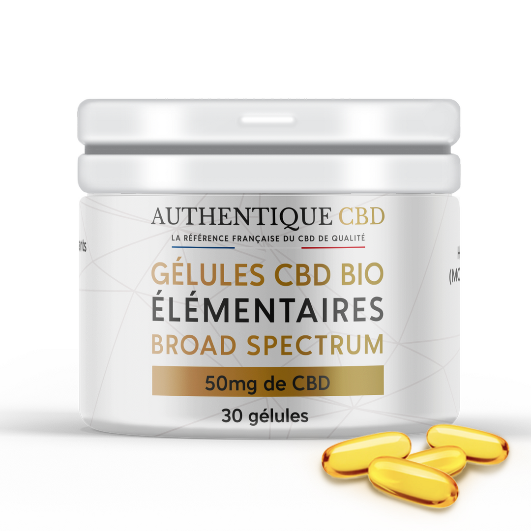 découvrez nos 3 conseils essentiels pour choisir et profiter des fleurs de cbd indoor sans thc, garantissant qualité et bien-être en toute sécurité.