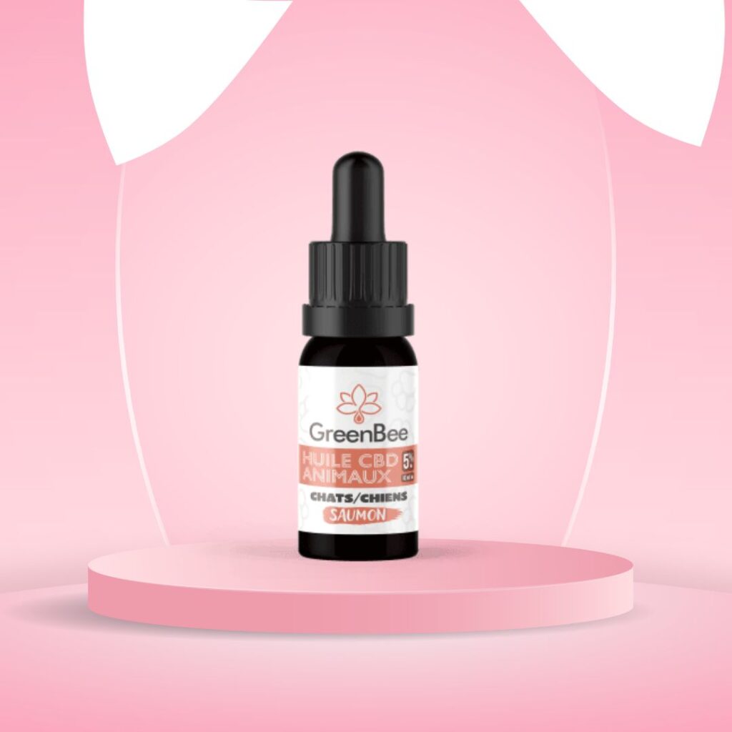 découvrez les bienfaits de l'huile de cbd pour les chats et comment l'utiliser en toute sécurité pour améliorer leur bien-être.