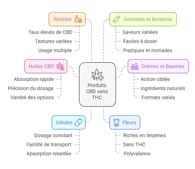 découvrez notre guide bien-être 2025 sur l'huile sans thc, ses bienfaits, utilisations et conseils pour une expérience saine et naturelle.