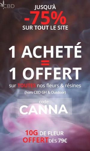 découvrez les meilleures promos cbd pour 2026 ! profitez d'offres exclusives sur une large sélection de produits de qualité. ne manquez pas nos réductions spéciales et bénéficiez d'un bien-être naturel toute l'année.