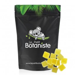 découvrez l'essentiel de la résine cbd sans thc : bienfaits, utilisation et qualité garantie pour une expérience naturelle et légale.