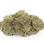 découvrez l'avis d'expert sur la puissance légale des fleurs hpc, leur conformité réglementaire et leur impact sur le marché.