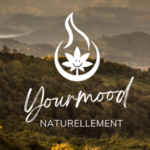 découvrez les meilleures boutiques et produits cbd dans le 1er arrondissement de paris. qualité, conseils et bien-être au cœur de la capitale.