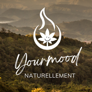 découvrez les meilleures boutiques et produits cbd dans le 1er arrondissement de paris. qualité, conseils et bien-être au cœur de la capitale.