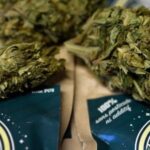 découvrez notre sélection de cbd et cannabis light dans le 3e arrondissement. produits de qualité, légaux et adaptés à vos besoins pour un bien-être naturel.