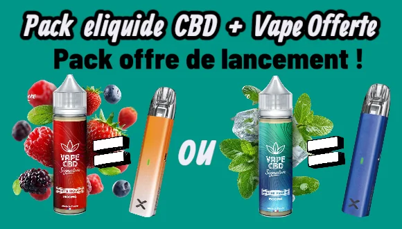 découvrez les meilleures offres en cbd dans le 11e arrondissement : produits de qualité, promotions exclusives et conseils personnalisés pour votre bien-être.