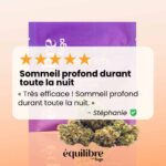 découvrez les secrets du cbd dans le 14e arrondissement : bienfaits, usages et conseils pour profiter pleinement de cette plante aux multiples vertus.