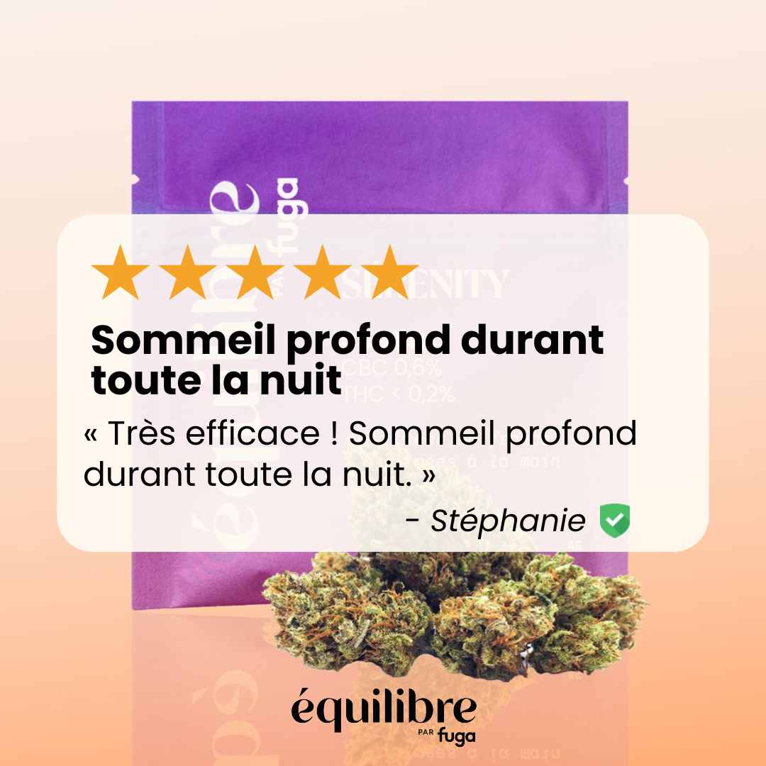 découvrez les secrets du cbd dans le 14e arrondissement : bienfaits, usages et conseils pour profiter pleinement de cette plante aux multiples vertus.