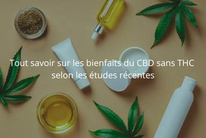 découvrez notre guide 2025 des terpènes dans les fleurs sans thc, pour tout savoir sur leurs bienfaits, saveurs et usages.
