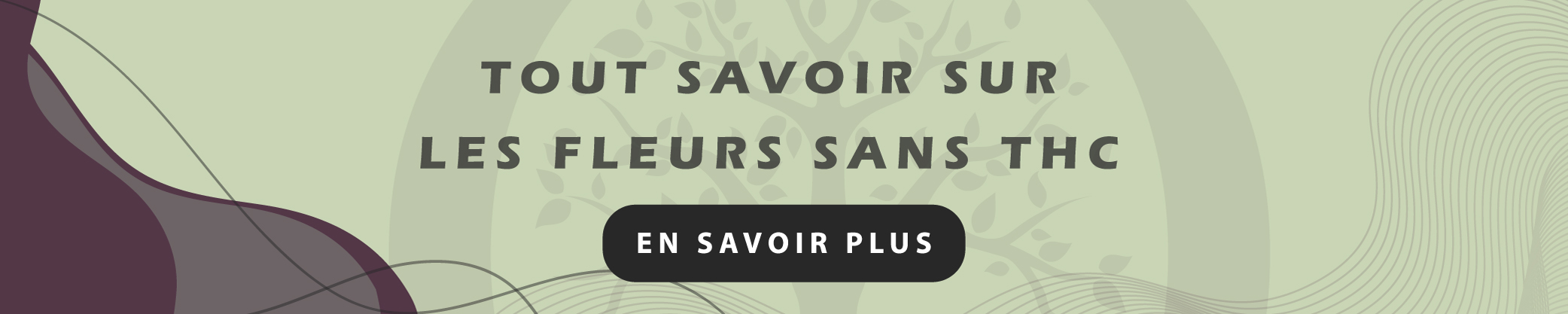 découvrez notre guide 2025 complet sur les terpènes dans les fleurs sans thc, leurs bienfaits, utilisations et conseils pour choisir les meilleures variétés.