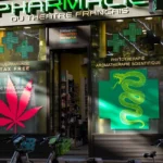 découvrez le cbd thérapeutique dans le 3e arrondissement : solutions naturelles pour soulager douleurs et stress, avec des produits de qualité adaptés à vos besoins.