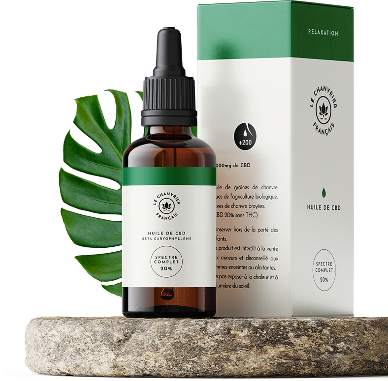 découvrez comment choisir le meilleur cbd dans le 1er arrondissement grâce à nos conseils pratiques et notre sélection de produits de qualité.