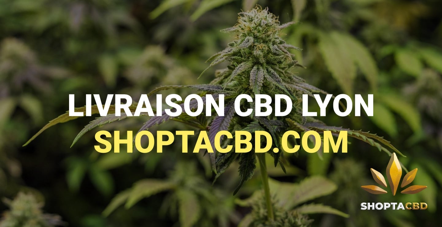 découvrez tous les événements autour du cbd dans le 5e arrondissement : conférences, ateliers, et rencontres pour en savoir plus sur le cannabidiol.