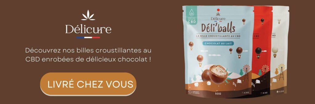 découvrez les meilleurs magasins de cbd dans le 12e arrondissement, sélectionnés pour leur qualité, leur variété de produits et leur expertise.