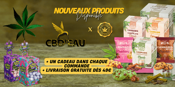 découvrez les meilleurs magasins de cbd dans le 12e arrondissement, offrant une sélection de produits de qualité pour répondre à tous vos besoins en cannabidiol.